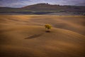 Colorful Tuscany in Italy - the typical landscape and rural fields from above