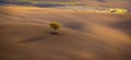 Colorful Tuscany - typical view over the rural fields and hills