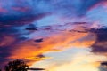 Colorful twilight sky after rain on evening time during sunset behind a tree silhouette. Royalty Free Stock Photo