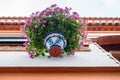 Colorful typical details of Andalusia