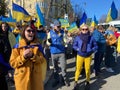 Colorful Ukrainian Flags and People at the Rally in Washington DC