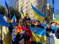 Colorful Ukrainian Flags at the Rally in Washington DC