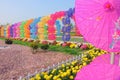 Colorful umbrella arch