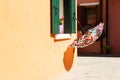 Colorful umbrella on the window. Royalty Free Stock Photo