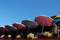 Colorful umbrellas Royalty Free Stock Photo