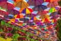 Colorful umbrellas in Dubai miracle garden