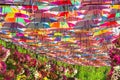 Colorful umbrellas in Dubai miracle garden