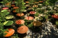 Colorful umbrellas floating above a serene garden path