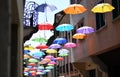 The colorful umbrellas Like the rainbow cover the alleys of the city of Belluno, in Italy