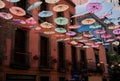 Colorful umbrellas on one of the streets of Mexico City, Mexico