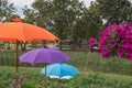 Colorful umbrellas outdoor in the garden.