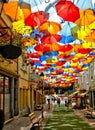 Colorful umbrellas over street in Agueda