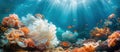 Colorful Underwater Scene With Corals and Sea Anemones Royalty Free Stock Photo