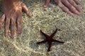 Colorful underwater scene.Meeting with a beautiful starfish.Sunlight reflection from seawater surface..