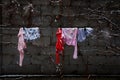 Underwear hanging on a clothesline in winter in the cold Royalty Free Stock Photo