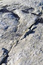 Colorful and unique pattern on old granite stones. Closeup of mossy and weathered stone surface. Black and grey nature material