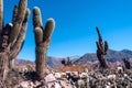 Colorful valleyHumahuaca, Andes, Argentina Royalty Free Stock Photo