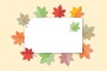 Colorful variegated foliage background. Autumn or fall leaves and thanksgiving day concept. shadow overlay. Royalty Free Stock Photo