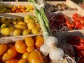 Colorful varieties of tomatoes on sale at local farmers market in Aix en Provence, France. Royalty Free Stock Photo