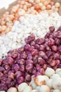 Colorful Variety of Freshly Picked Organic Onions on Display at the Farmers Market