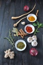 Colorful various of fresh and dried herbs, spices for cooking. Royalty Free Stock Photo