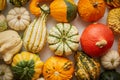 Colorful various kinds mini pumpkins on white background, top view, flat lay. Fall background. Royalty Free Stock Photo