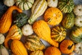 Colorful various kinds mini pumpkins on white background, top view, flat lay. Fall background. Royalty Free Stock Photo