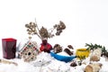 Colorful Vases, Birdhouse and pinecones Covered with Snow