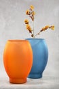 Colorful vases and flowers