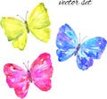 Colorful vector butterflies: yellow, pink, blue. Hand drawn watercolor illustration. Isolated on white background. Royalty Free Stock Photo