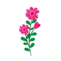 Colorful Vector Flowers-3 ai