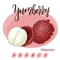 Colorful vector illustration. Food design with fruit. Hand drawn sketch of yumberry. Organic fresh product for card or