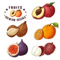 Colorful vector illustration. Food design with fruits. Hand drawn sketch of nectarine, ita palm, orange, figs, yumberry