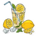 Cool lemonade in a glass Cup with ice and mint. A whole lemon, half and slice with seeds.