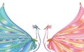 Colorful vector illustration of two abstract, stylized peacocks, opposite each other, with luxurious tails.
