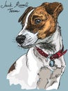 Colorful Vector Jack Russel terrier