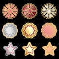 Colorful vector metallic badges, stars and florals isolated on black Royalty Free Stock Photo