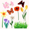 Colorful vector set of beautiful spring flowers and butterflies. Blooming garden plants and flying insects. Natural Royalty Free Stock Photo