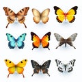 Colorful Vector Set Of Hyper-realistic Butterflies On Transparent Background