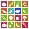 Colorful vegetable icon set