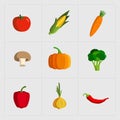 Colorful Vegetable Icon Set on White Background