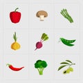 Colorful Vegetable Icon Set on White Background