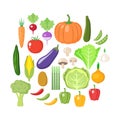 Colorful vegetables clipart set. Vegetable colored cartoon collection.