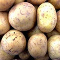 The colorful, versatile and ancient potato, it`s healthy too, 2.