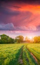 Colorful vertical panorama of the spring meadow with country road Royalty Free Stock Photo