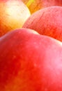 Colorful vertical red, yellow apples background, large detailed closeup, gentle bokeh Royalty Free Stock Photo