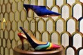 Colorful Vibrant High Heals Stilettos Shoes