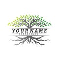 Colorful vibrant tree logo design concept vector. Root of Tree life logo design template inspiration. Icon Symbol Royalty Free Stock Photo