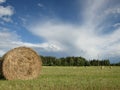 Colorful view of reel with grass on the field Royalty Free Stock Photo