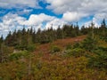 Beautiful colorful view from Skyline Trail in Cape Breton National Park, Nova Scotia, Canada Royalty Free Stock Photo